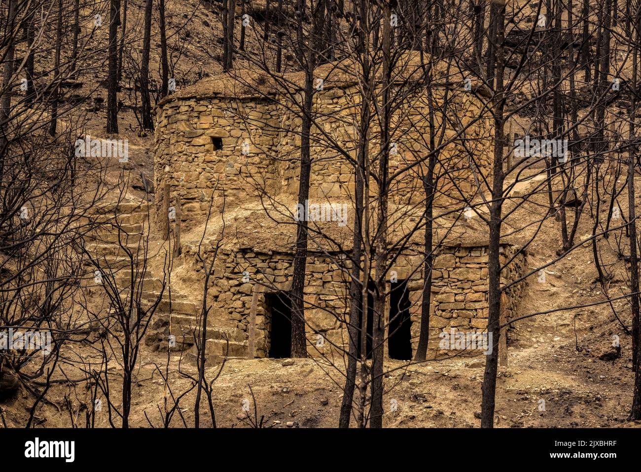 Tubs (Zinken auf katalanisch) und das Flequer-Tal nach dem Brand der Pont de Vilomara von 2022 im Naturpark Sant Llorenç del Munt i l'Obac Katalonien Spanien Stockfoto