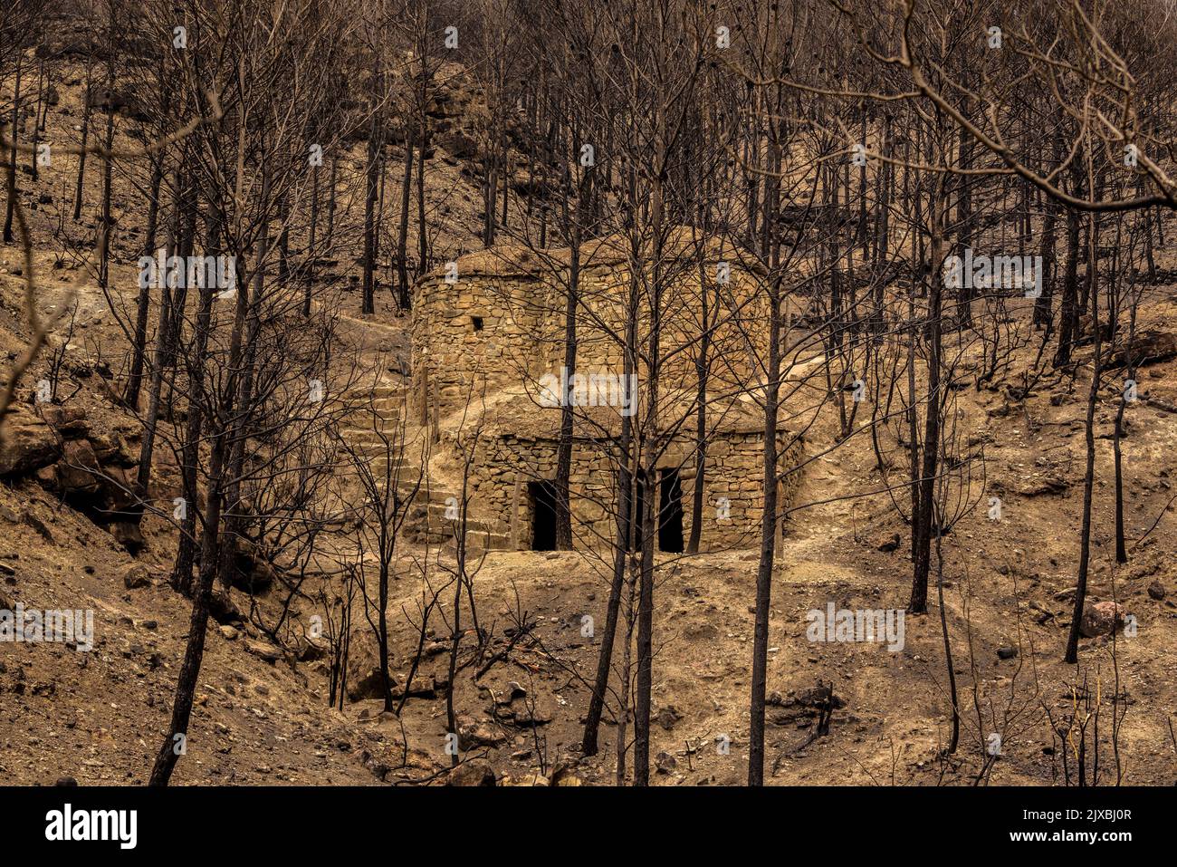 Tubs (Zinken auf katalanisch) und das Flequer-Tal nach dem Brand der Pont de Vilomara von 2022 im Naturpark Sant Llorenç del Munt i l'Obac Katalonien Spanien Stockfoto