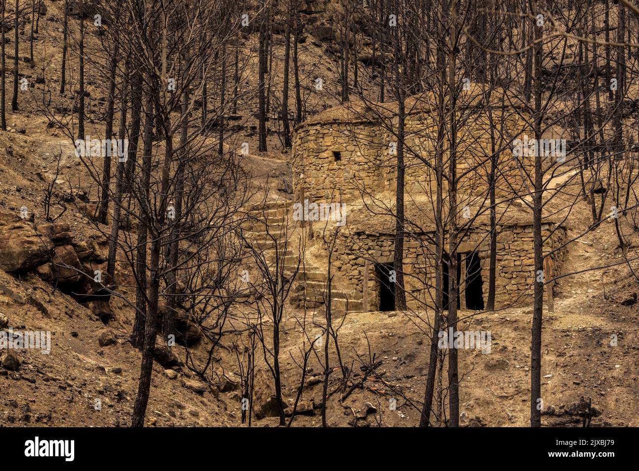 Tubs (Zinken auf katalanisch) und das Flequer-Tal nach dem Brand der Pont de Vilomara von 2022 im Naturpark Sant Llorenç del Munt i l'Obac Katalonien Spanien Stockfoto