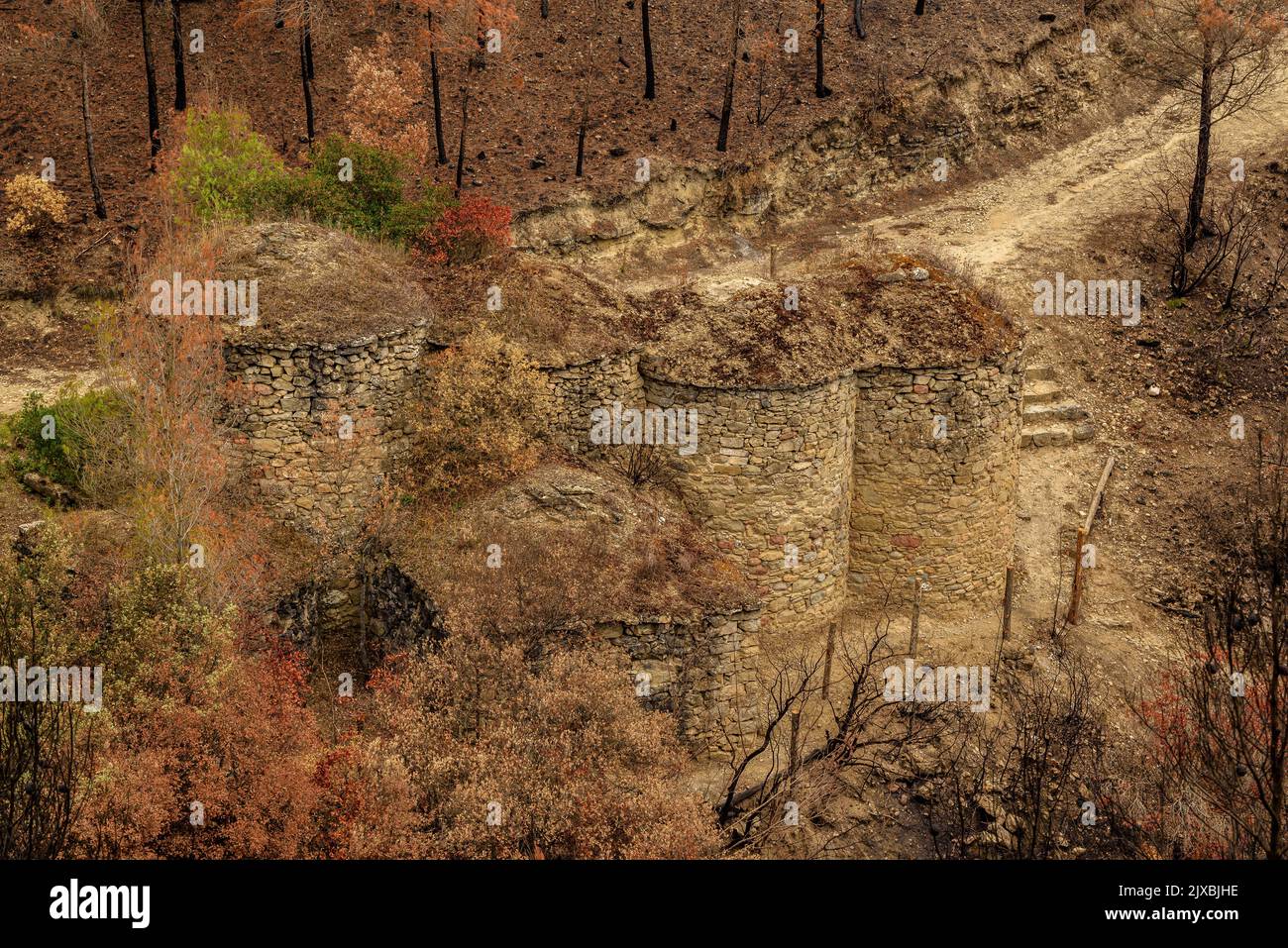 Tubs (Zinken auf katalanisch) und das Flequer-Tal nach dem Brand der Pont de Vilomara von 2022 im Naturpark Sant Llorenç del Munt i l'Obac Katalonien Spanien Stockfoto