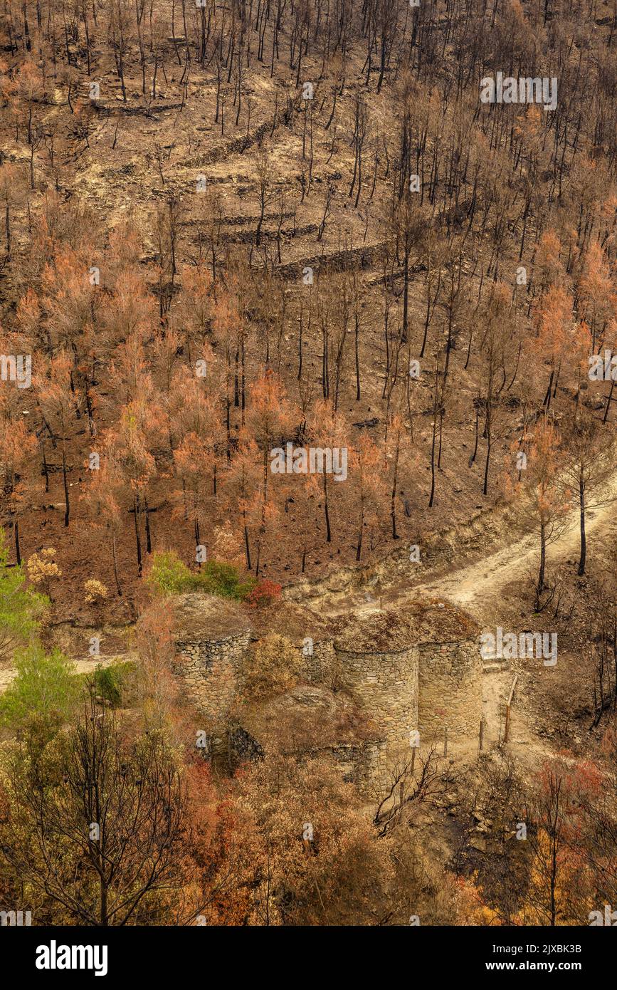 Tubs (Zinken auf katalanisch) und das Flequer-Tal nach dem Brand der Pont de Vilomara von 2022 im Naturpark Sant Llorenç del Munt i l'Obac Katalonien Spanien Stockfoto
