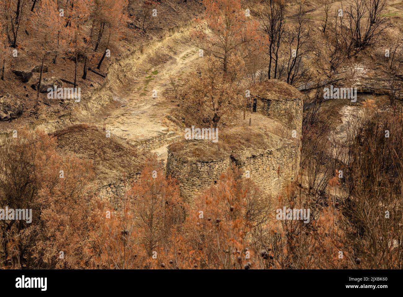 Tubs (Zinken auf katalanisch) und das Flequer-Tal nach dem Brand der Pont de Vilomara von 2022 im Naturpark Sant Llorenç del Munt i l'Obac Katalonien Spanien Stockfoto