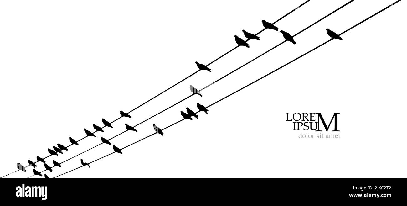 Vögel auf Drähten. Vektorgrafik Stock Vektor