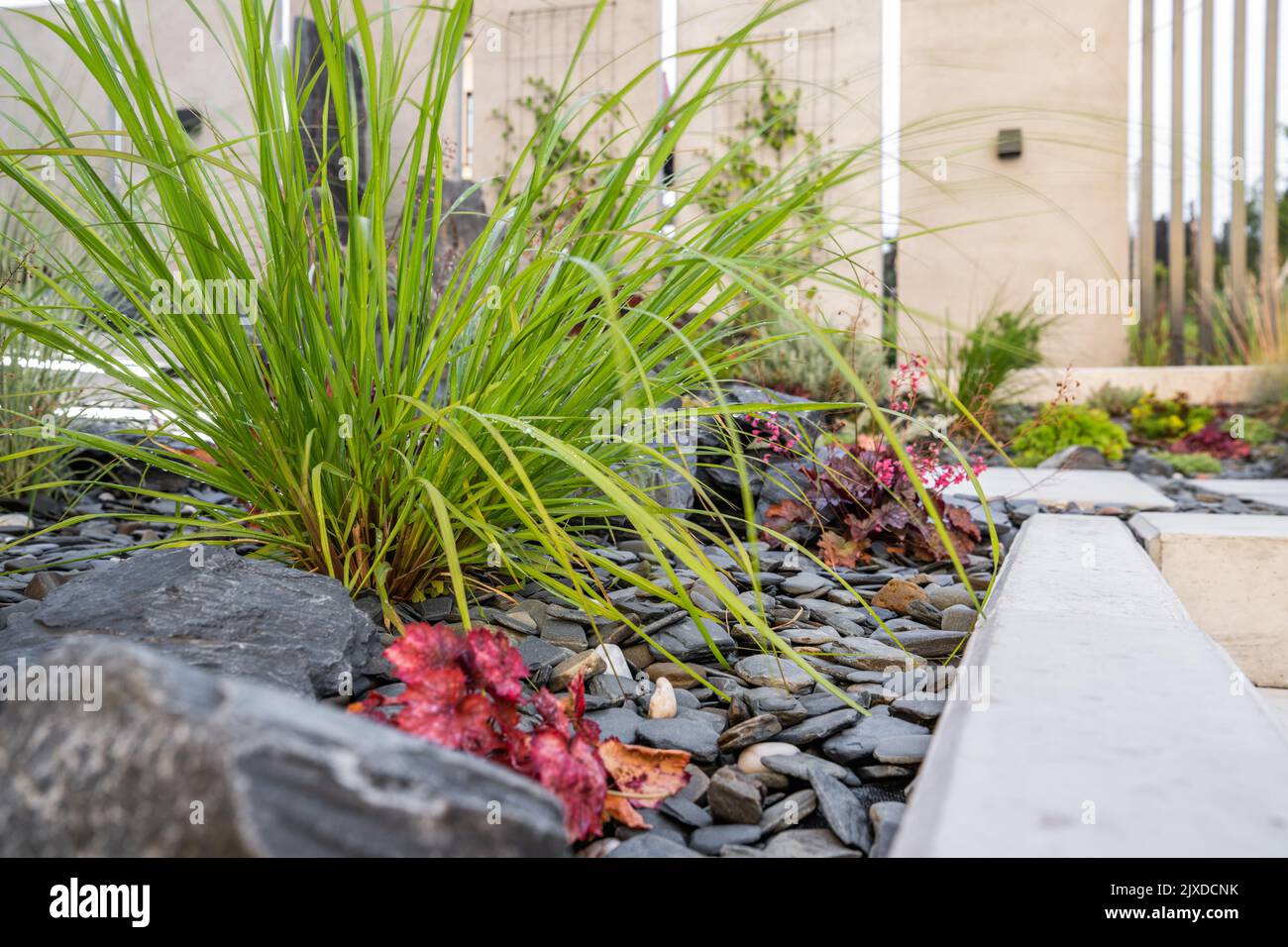 Nahaufnahme von Blumenbeet mit Ornamental Grass verziert mit dunklen Kieselsteinen Bodenbedeckung und Landschaft Felsen. Design-Idee Für Den Vorderen Hof Mit Landschaftsgestaltung. Stockfoto