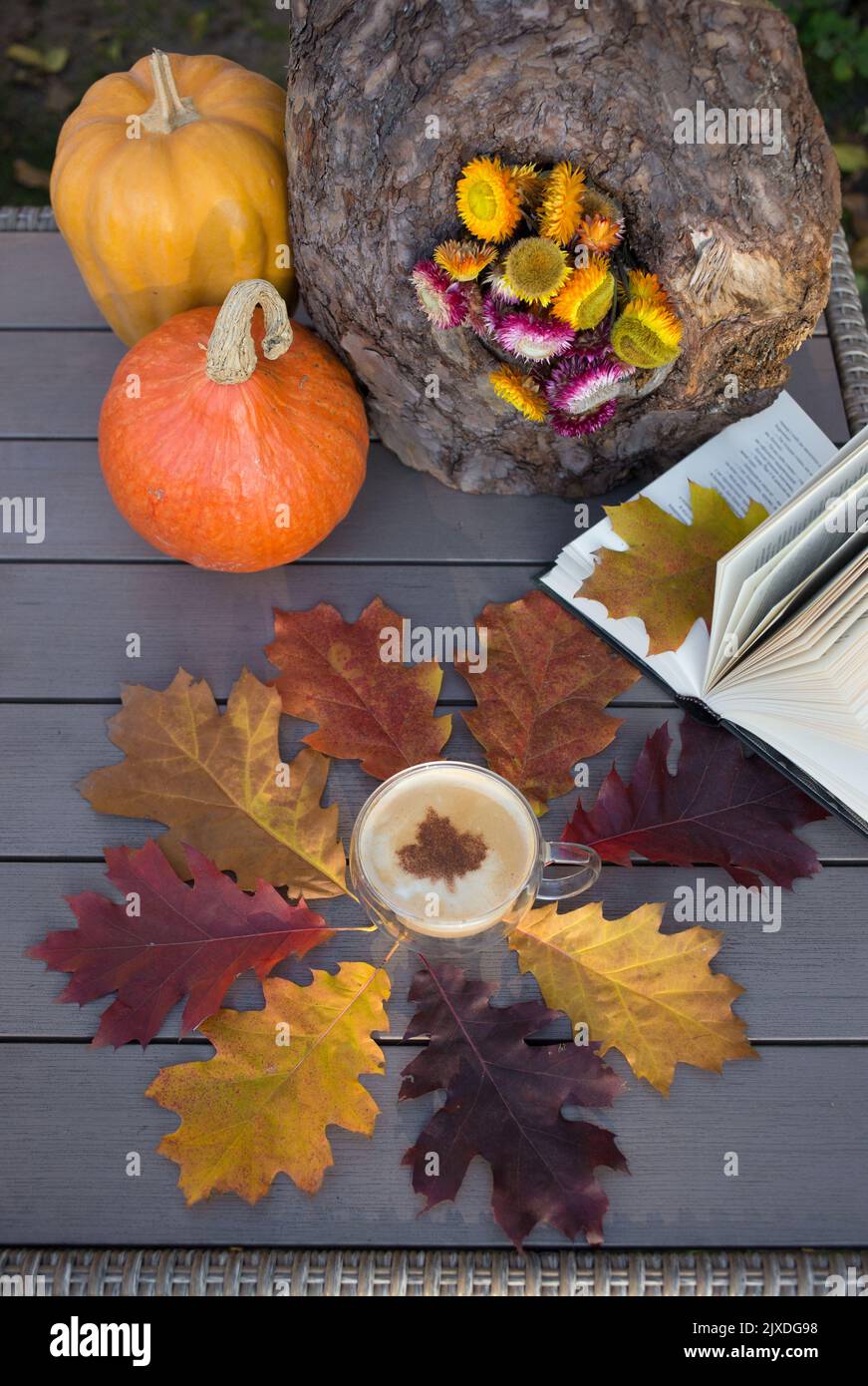 Ich liebe den Herbst, Kaffee und Bücher. Ein offenes Buch, eine Tasse Cappuccino inmitten einer Sammlung von bunten, hell gefallenen Eichenblättern. Herbstliche Atmosphäre. Educati Stockfoto