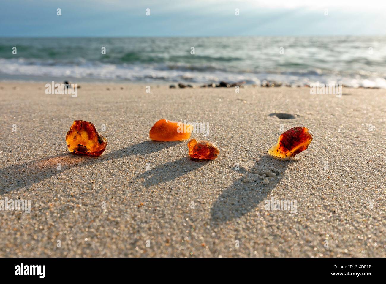 Amber an einem Sandstrand. Dänemark Stockfoto