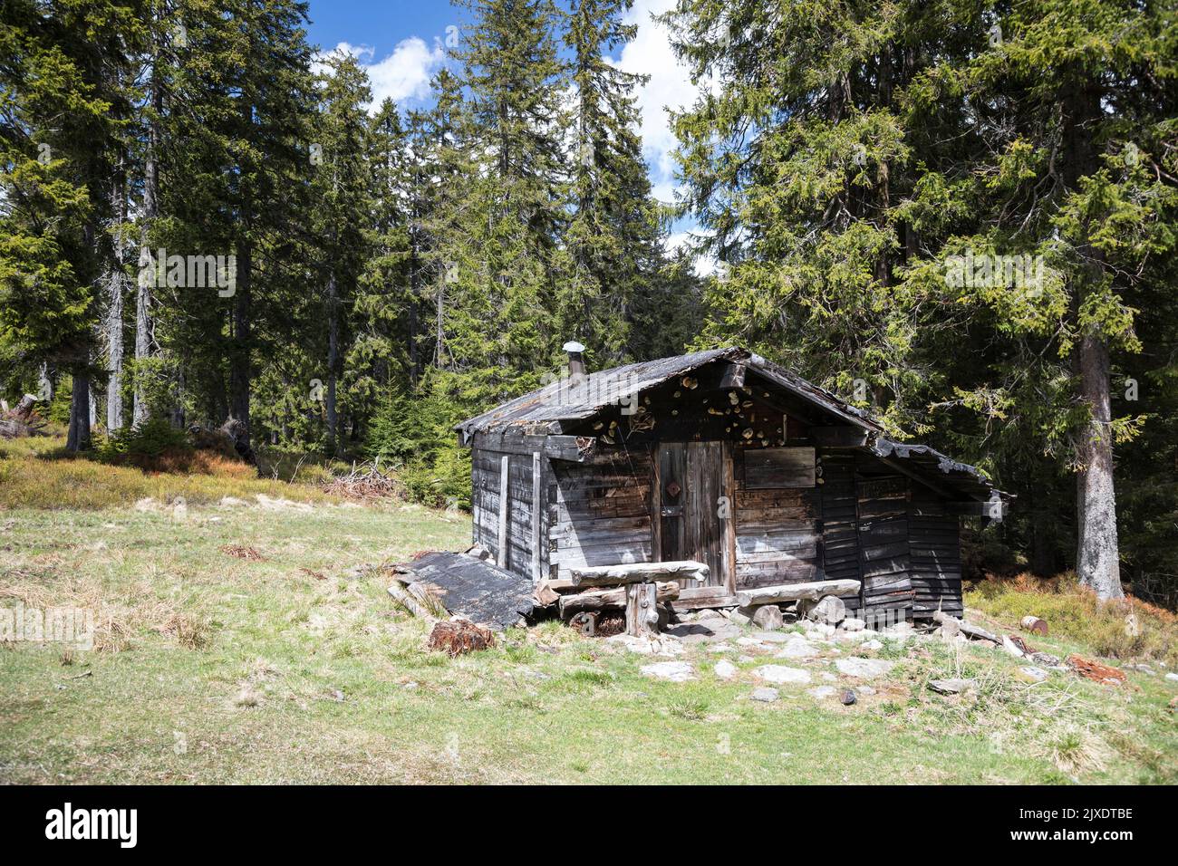 Verlassene Hütte auf einer ehemaligen Bergwiese. Bayerischer Wald, Bayern, Deutschland Stockfoto