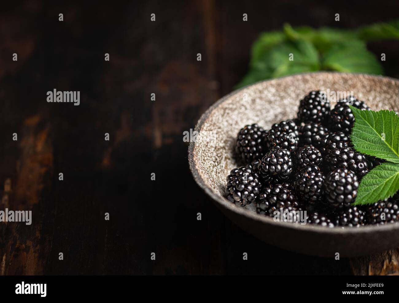 Frische Brombeere mit Blättern Stockfoto