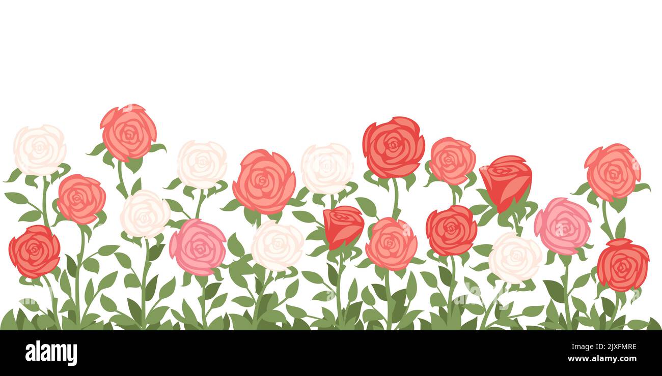 Einfache Rose Blumen Bett mit grünem Gras und Blätter Vektor-Illustration auf weißem Hintergrund Stock Vektor