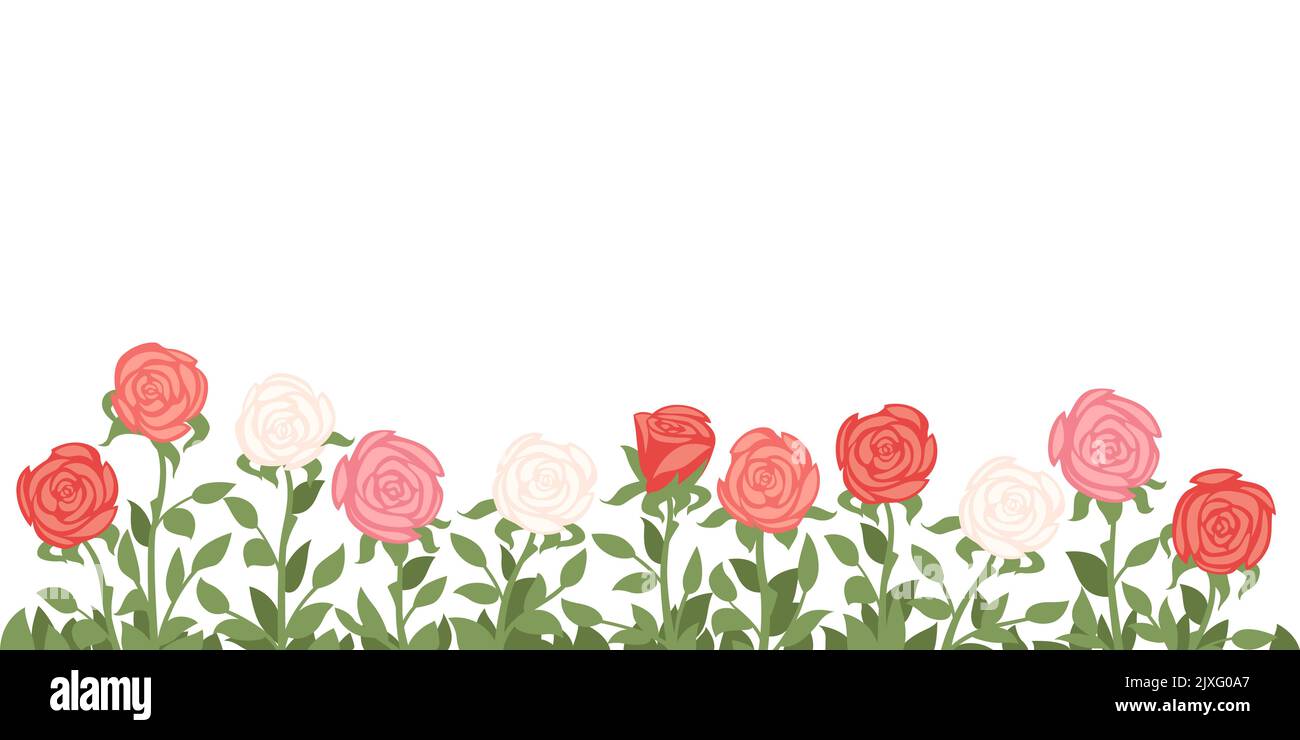 Einfache Rose Blumen Bett mit grünem Gras und Blätter Vektor-Illustration auf weißem Hintergrund Stock Vektor