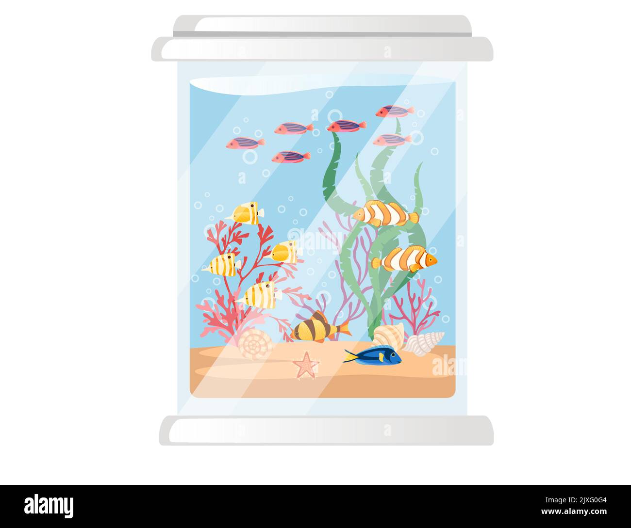 Großes Glasaquarium mit verschiedenen tropischen Fischen Sandkorallen und Muscheln Vektorgrafik auf weißem Hintergrund Stock Vektor