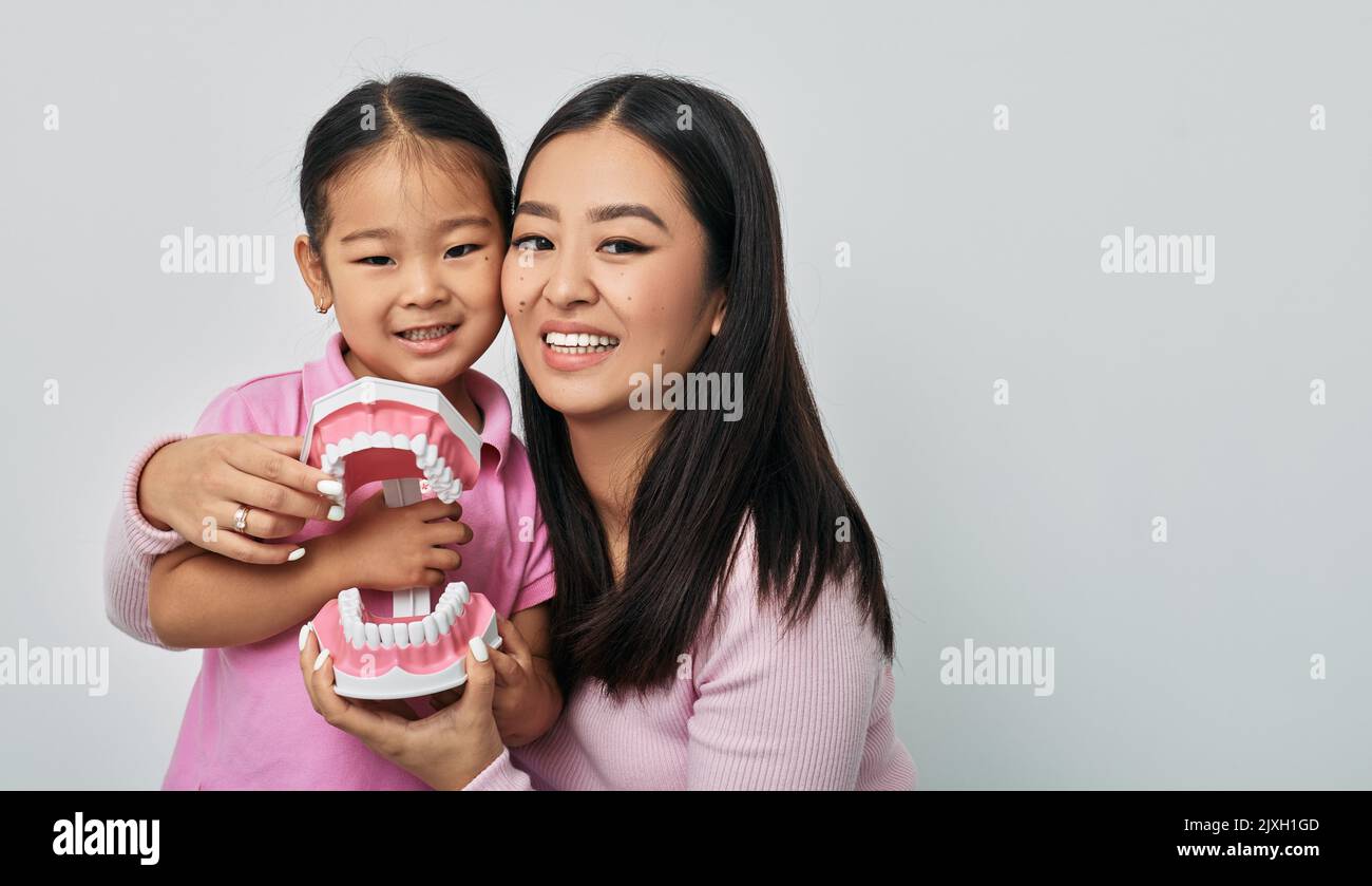 Koreanische Mutter lehrt kleines Mädchen, wie richtig für ihre Zähne mit pädagogischen Kiefer Modell zu pflegen. Pflege und Hygiene für Kinderzähne Stockfoto