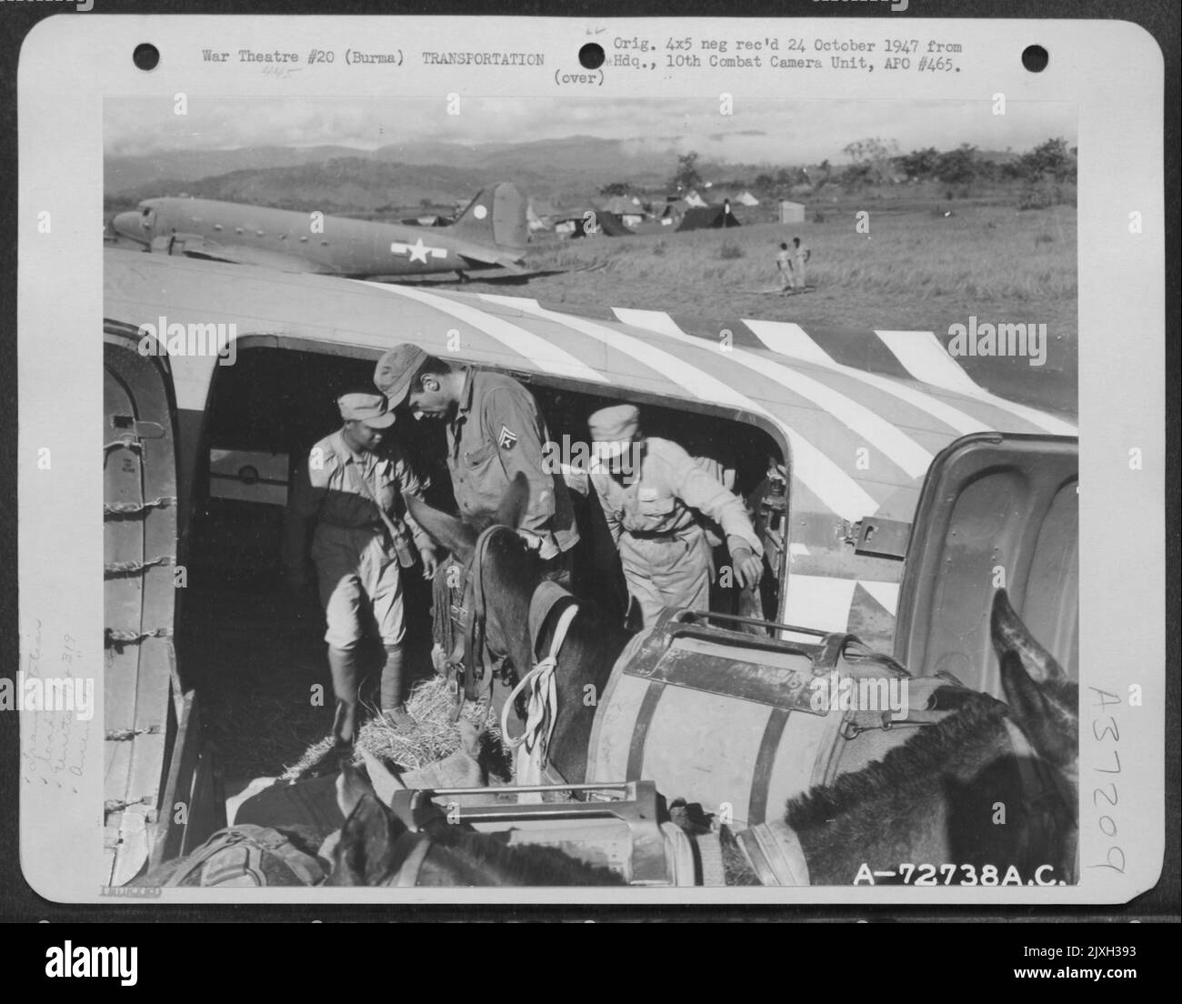 Chinesische und amerikanische Truppen laden Maultiere auf Eine Douglas C-47 der 319Th Truppenteile Carrier Squadron, 1. Air Commando Group, für ihren Flug von Myitkyina, Burma, über den Hump nach China. 13. Dezember 1944. Stockfoto