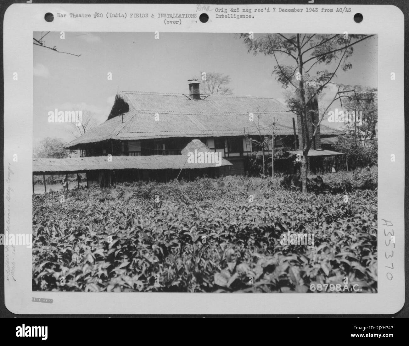 Das Betriebsgebäude der letzten Ferrygruppe befindet sich im Zentrum Einer Teeplantage in Chabua, Assam, Indien. Das Strohdach Dient Zwei Zwecken: Es Hält Den Innenraum Kühl Und Dient Auch Als Tarnmuster. Juli 1943. Stockfoto