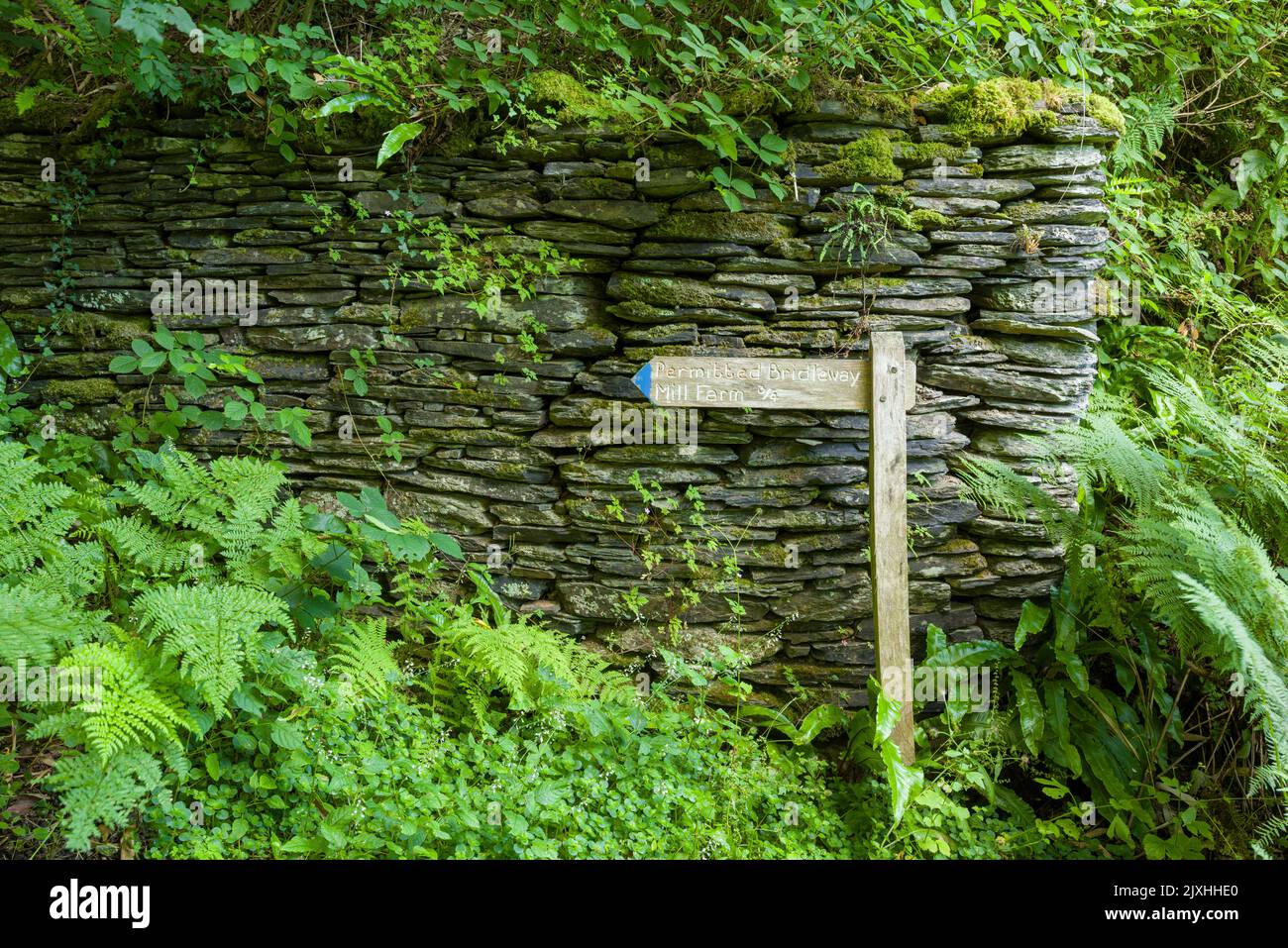 Ein hölzerner Wegweiser für den Brückenweg durch Invention Wood zur Mill Farm im Heddon Valley im Exmoor National Park, North Devon, England. Stockfoto