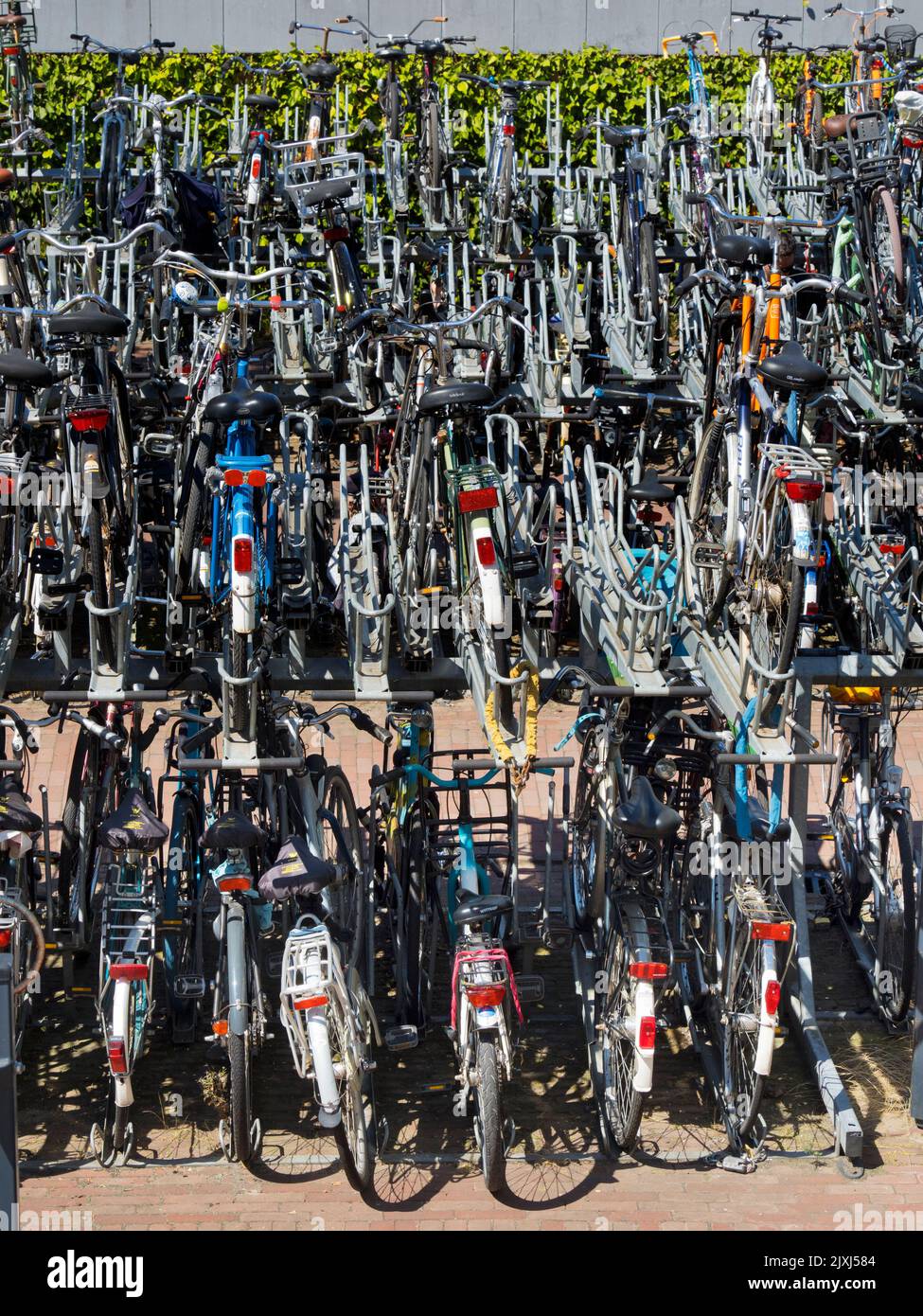 In den Niederlanden herrscht eine Fahrradkultur. In Rotterdam, wie in allen städtischen Gebieten des Landes, dominieren Fahrräder und Straßenbahnen. Aber ich manchmal w Stockfoto