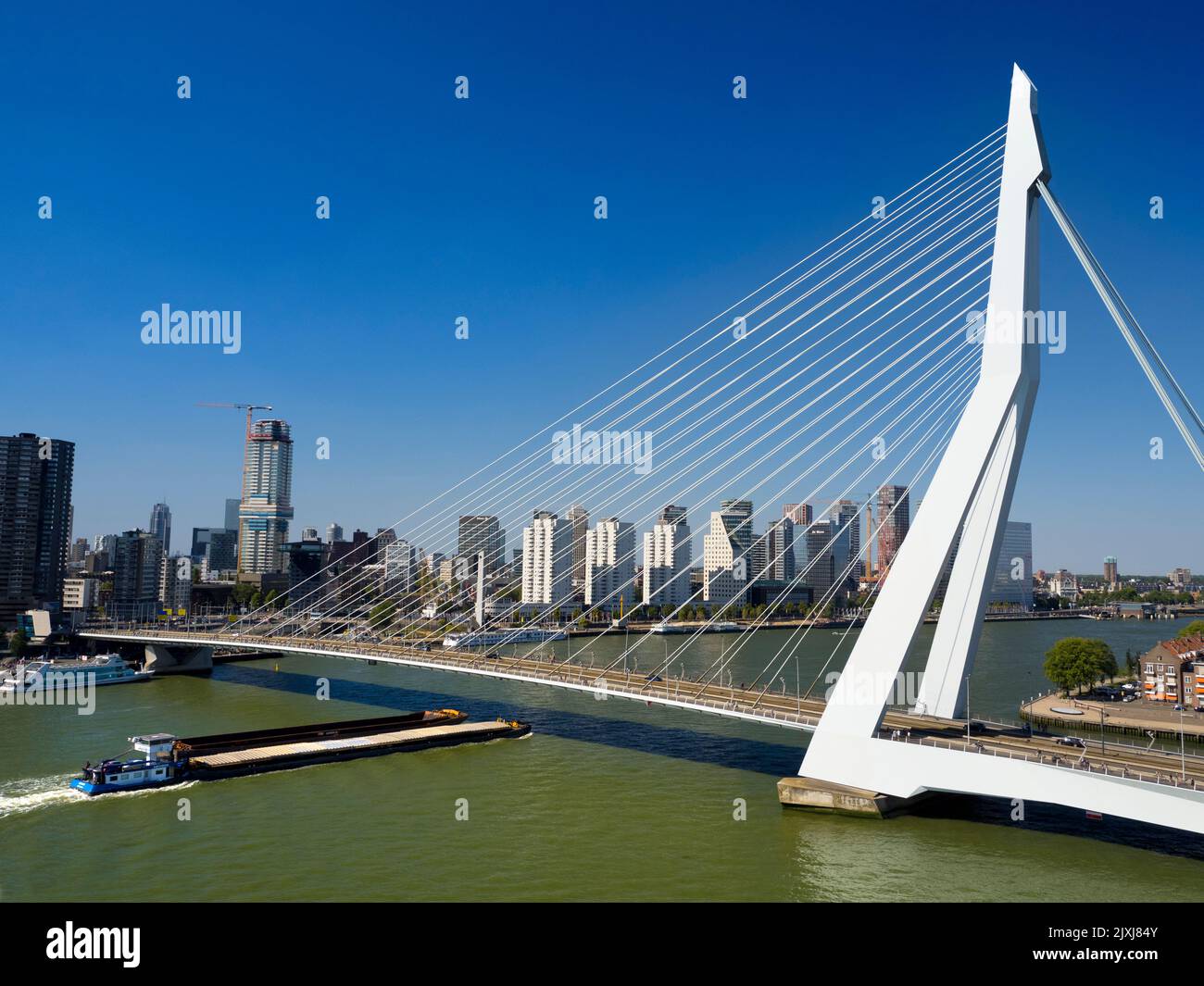 Benannt nach dem großen holländischen Philosophen und Humanisten aus der Renaissance, trägt die wunderschöne neue Hängebrücke von Rotterdam erheblich zur Skyline der Stadt bei Stockfoto