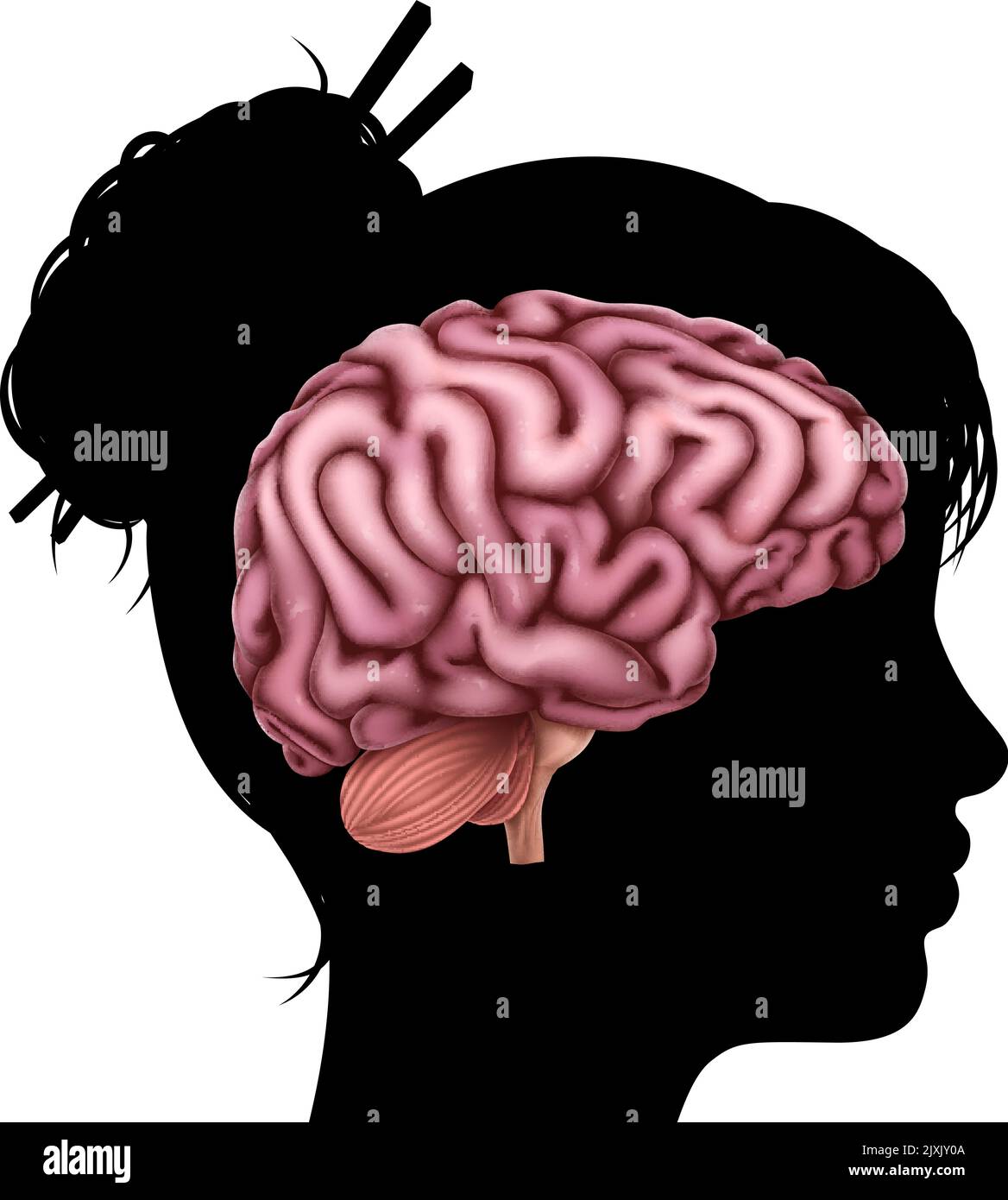 Frauenkopf im Silhouette-Profil mit Gehirnkonzept Stock Vektor