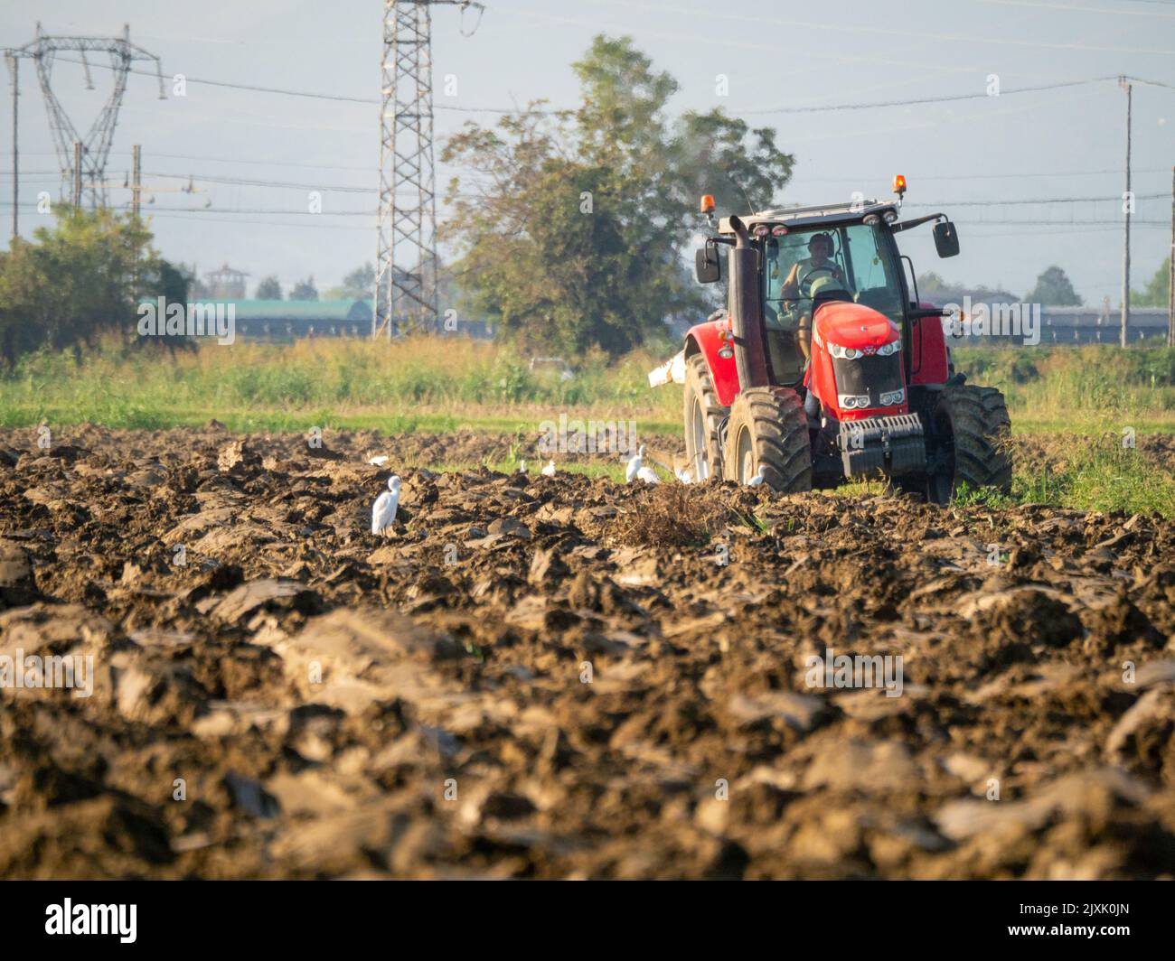 4K Video von rotem Traktor, der das Land auf dem Land pflügt. Stockfoto