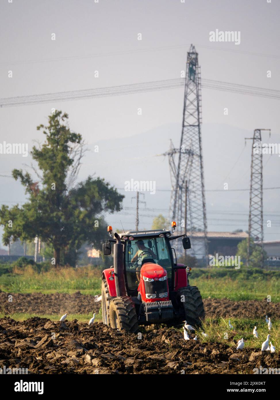 4K Video von rotem Traktor, der das Land auf dem Land pflügt. Stockfoto