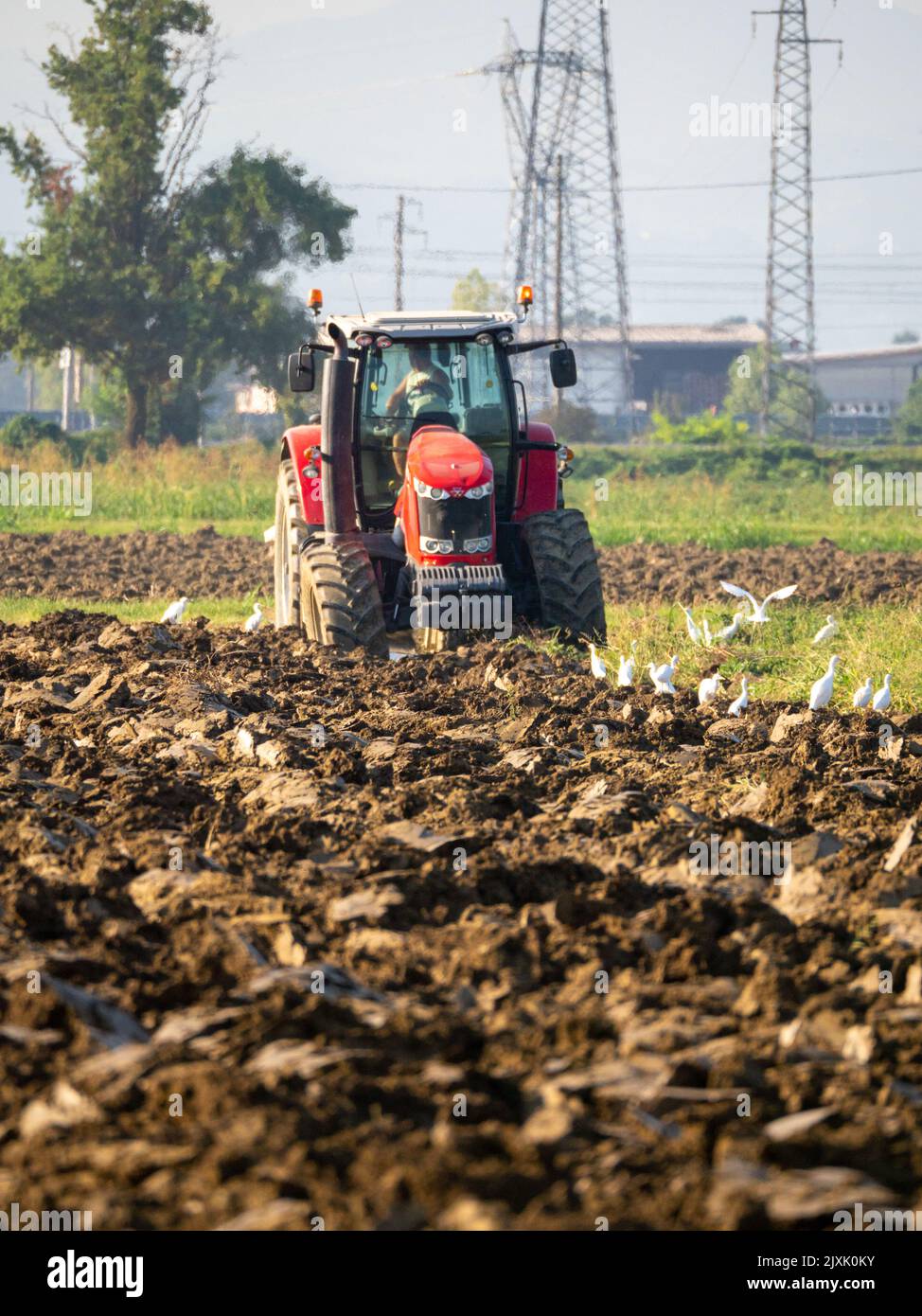 4K Video von rotem Traktor, der das Land auf dem Land pflügt. Stockfoto