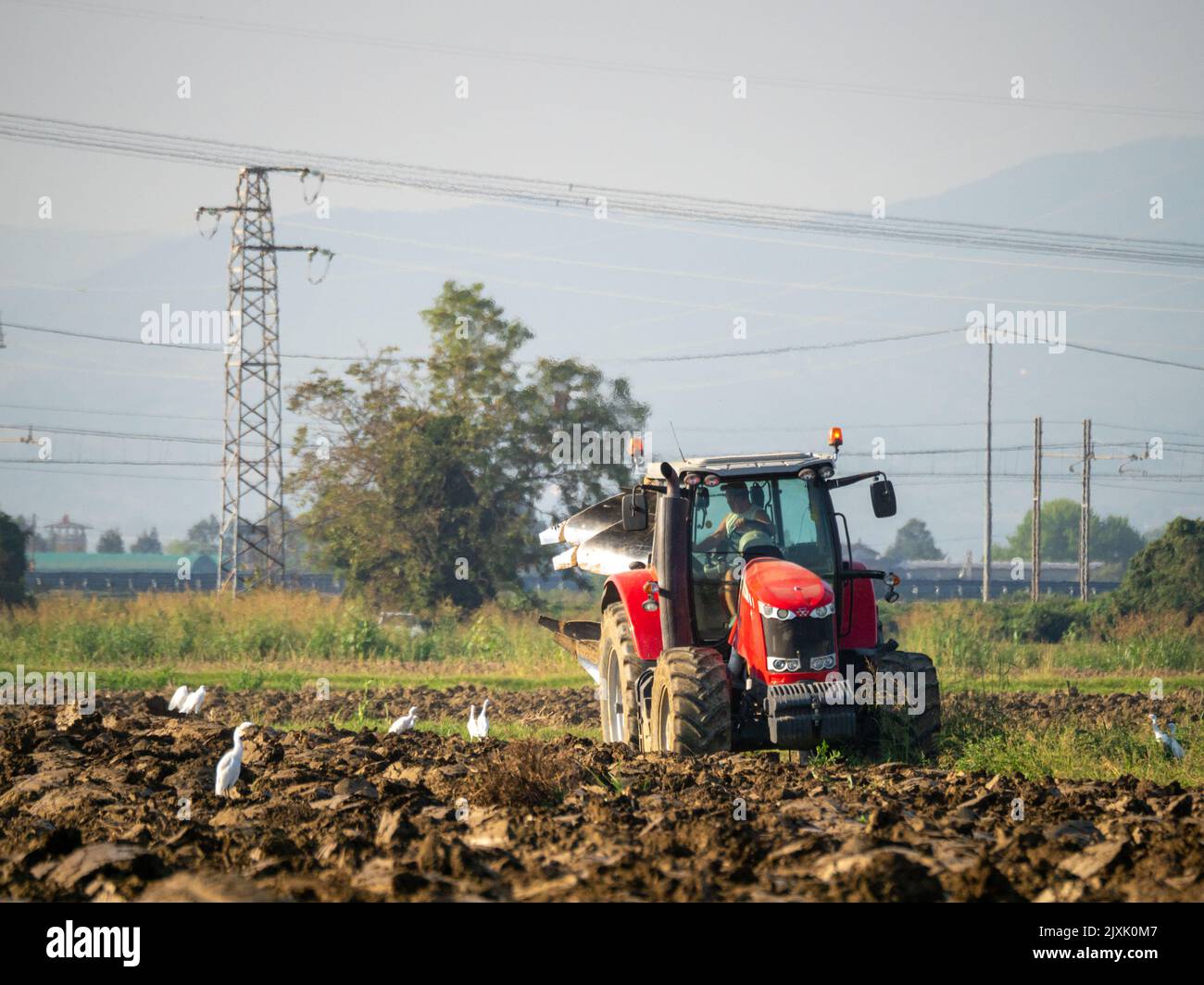 4K Video von rotem Traktor, der das Land auf dem Land pflügt. Stockfoto