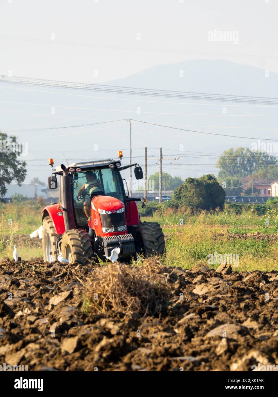 4K Video von rotem Traktor, der das Land auf dem Land pflügt. Stockfoto