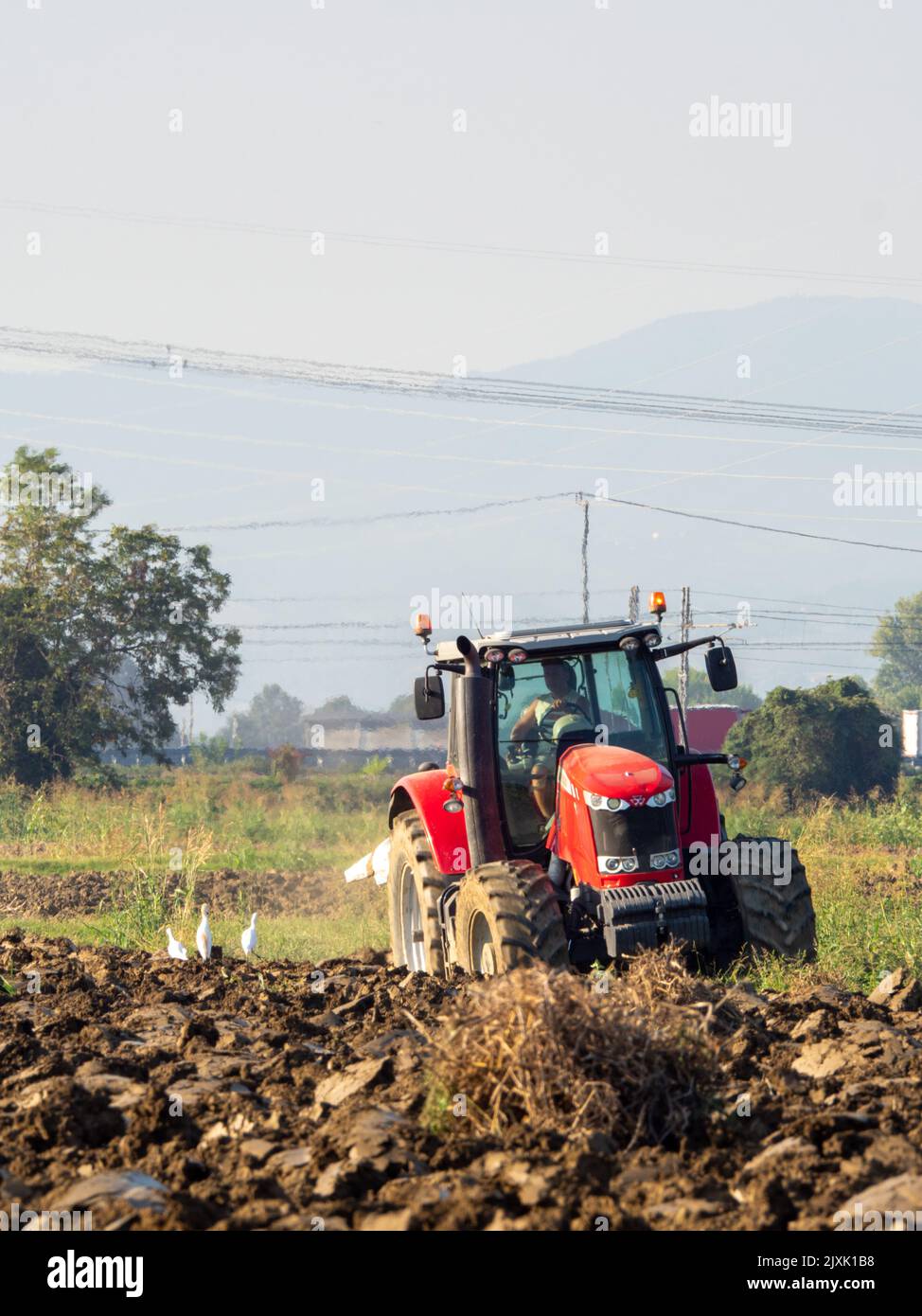 4K Video von rotem Traktor, der das Land auf dem Land pflügt. Stockfoto