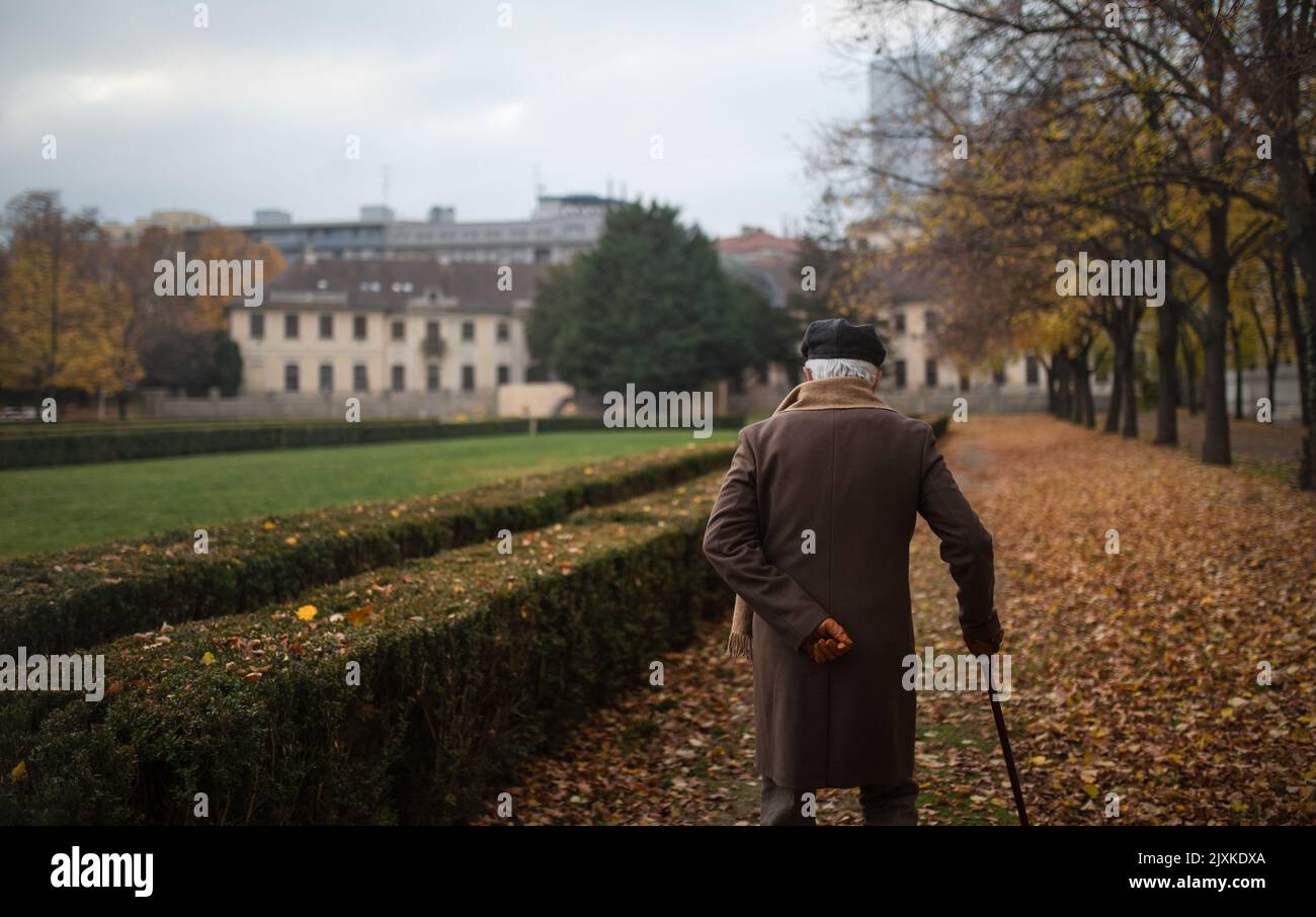 Alter eleganter Mann mit Spazierstock auf Spaziergang im Park am Herbsttag Stockfoto