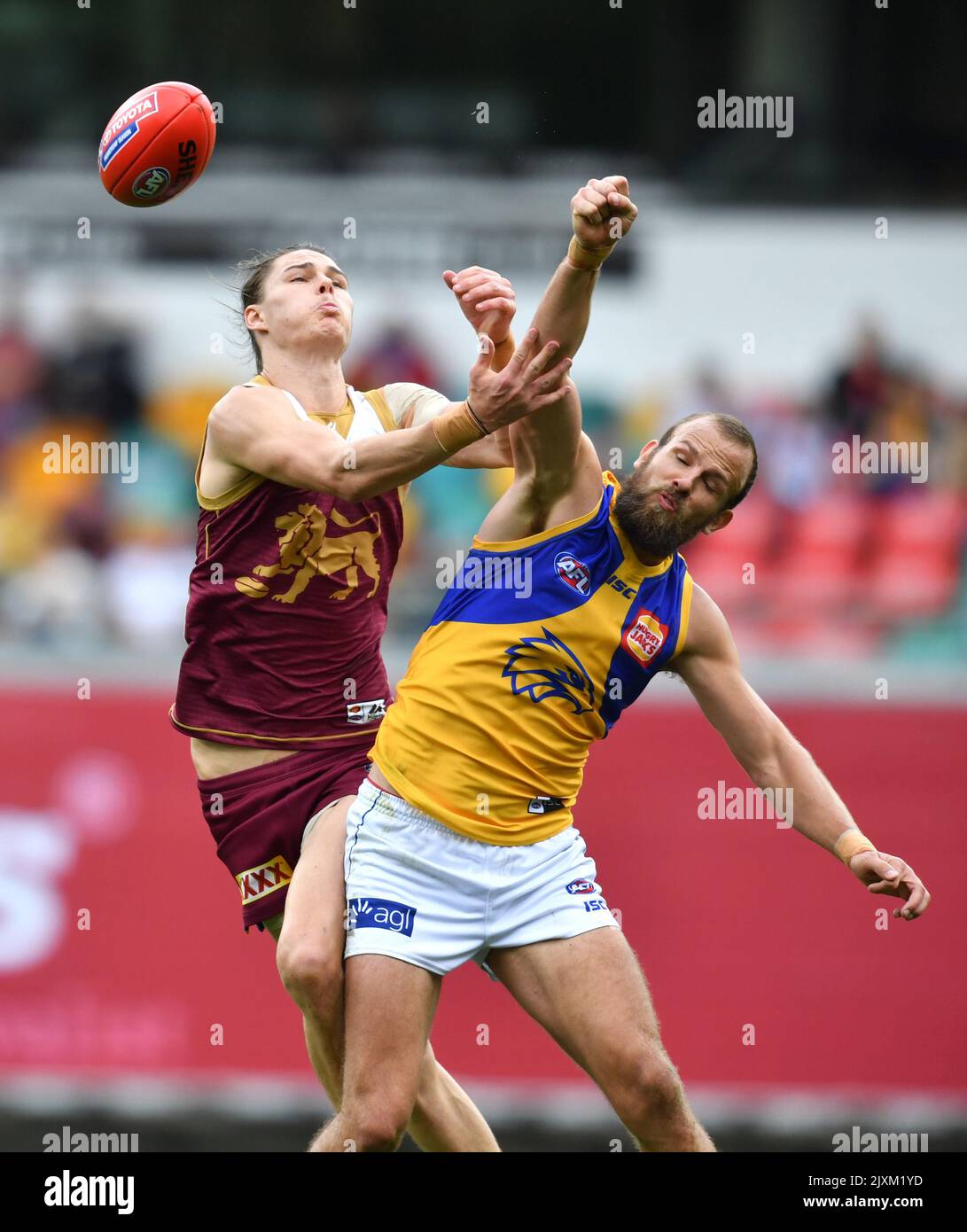 Eric Hipwood (links) von den Löwen wird während des AFL-Spiels der Runde 23 zwischen den Brisbane Lions und den West Coast Eagles am Sonntag, den 26. August 2018 in der Gabba in Brisbane von will Schofield (rechts) von den Eagles verwöhnt. (AAP-Bild/Darren England) Stockfoto