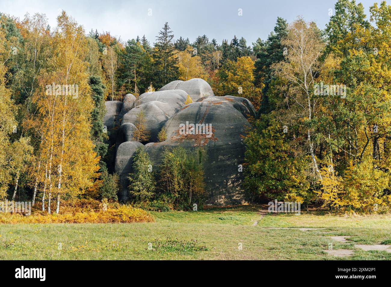Herbstansicht der Elefantenfelsen bei Liberec, Tschechien. Herbstlandschaft mit riesigen Sandsteinfelsen. Hohe Felsen im Herbstwald. Stockfoto