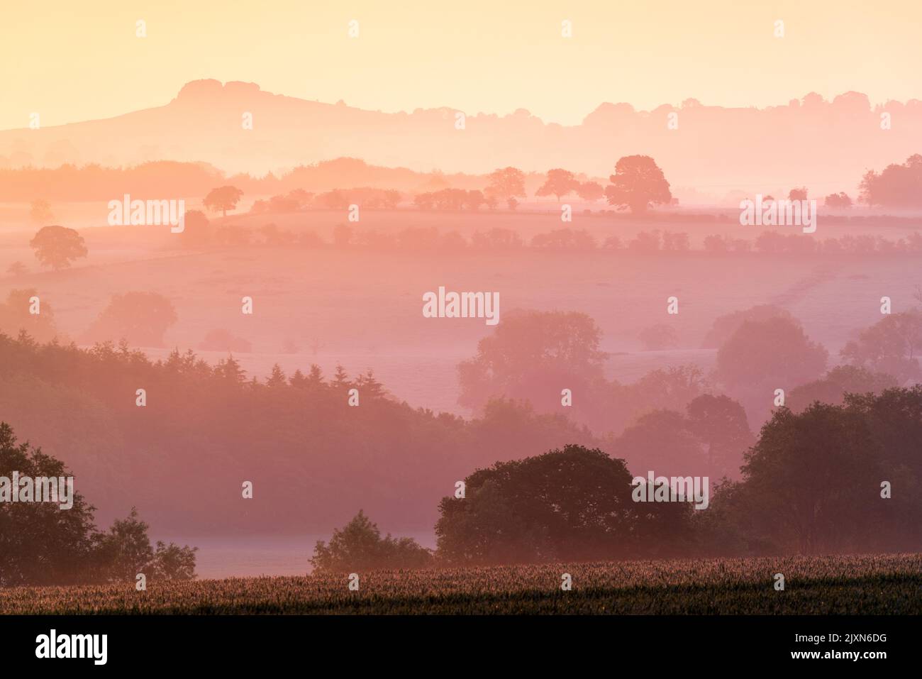 Almscliffe Crag sitzt an einem warmen Sommermorgen über warmen, dunstigen Schichten in der ländlichen Landschaft des Farnley Park. Stockfoto