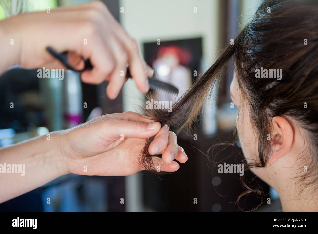 In einem Friseur, Salon, Details von Händen, die einen Kamm halten und die Frisur einer Frau vervollständigen. Keine Teilfläche sichtbar. Foto eines Berufstätigen bei der Arbeit. Stockfoto