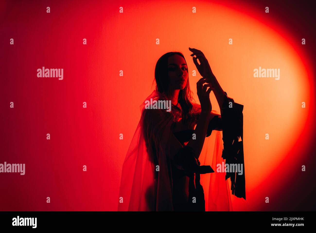 Rote Kunst Porträt neon Licht Frau Silhouette Stockfoto