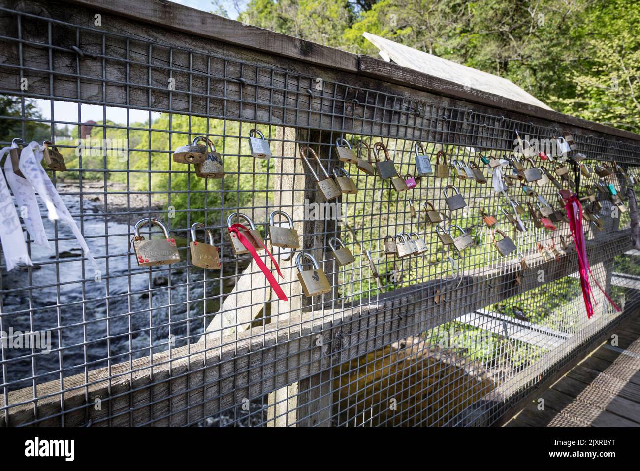 Vorhängeschlösser, die „für immer verschlossene Liebe“ auf einer Brücke in Blairgowrie, Schottland, symbolisieren. Stockfoto