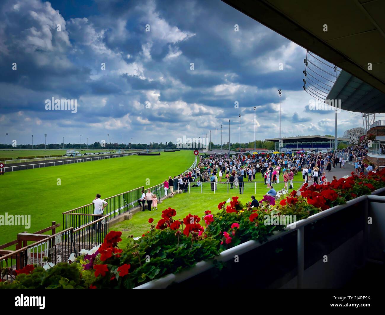 Kempton Park Racecourse II Stockfoto