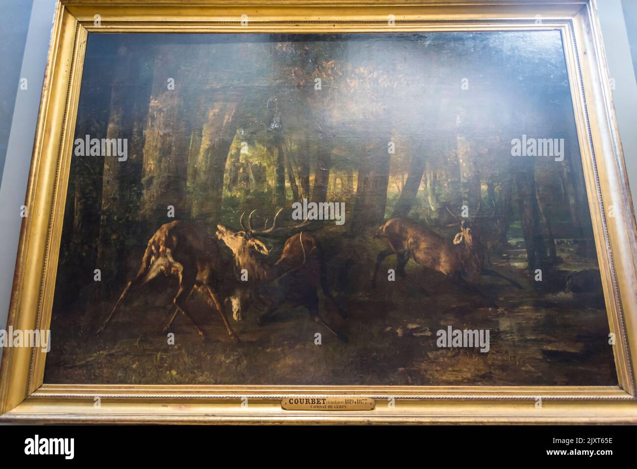 Hirschkampf, Gemälde von Gustave Courbet, Musée d'Orsay, Paris, Frankreich Stockfoto