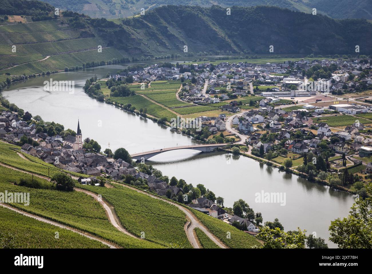 Luftaufnahme von Piesport, seinen Gebäuden und Weinbergen und der sich durchschlängelnden Mosel, Deutschland. Stockfoto