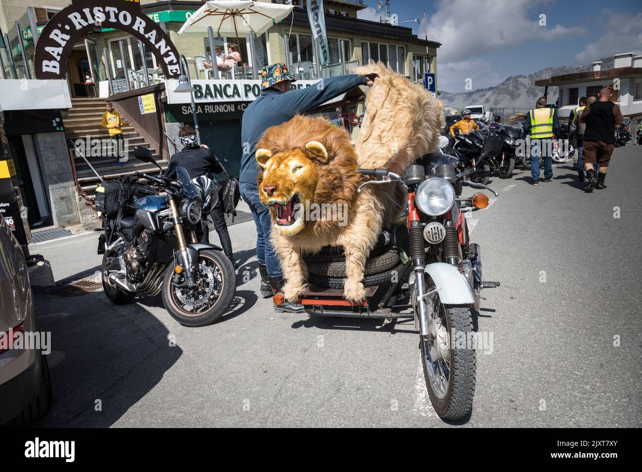 Motorrad mit lebensgroßem Löwen als Seitenwagen auf dem Gipfel des Stilfserjochs, Italien. Stockfoto