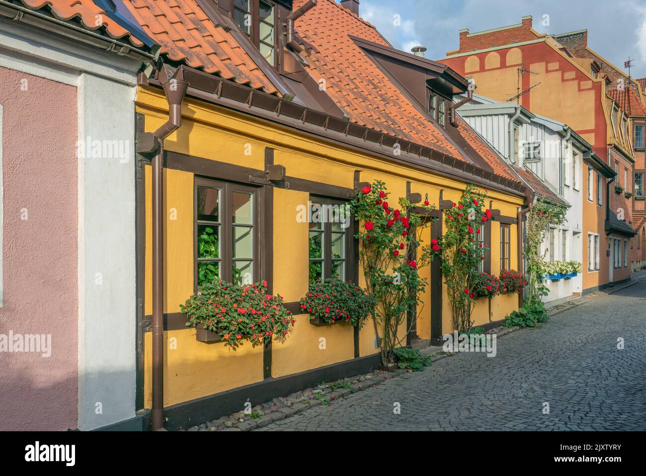 Ystad, Schweden - 6 Sep, 2022: Fachwerkhaus mit einer gepflasterten Straße vor dem Haus. Stockfoto