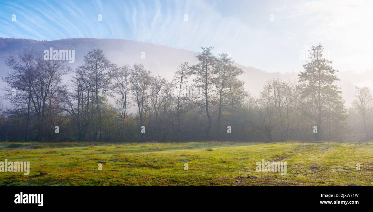 Landschaft mit Wald und Wiese im Morgennebel. Bergige ländliche Landschaft bei einem nebligen Sonnenaufgang. Wunderbarer herbstlicher Naturhintergrund bei sonnigem Wetter Stockfoto