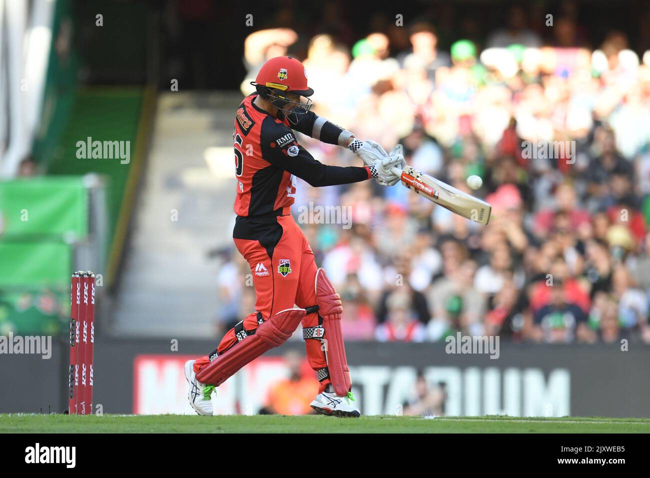 Tom Cooper von den Renegades Fledermäuse während der Big Bash League (BBL) Spiel zwischen den Melbourne Renegades und den Melbourne Stars im Marvel Stadium in Melbourne, Samstag, 19. Januar 2019. (AAP-Bild/James Ross) Stockfoto