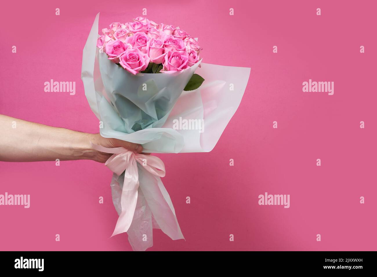 Die männliche Hand des Kuriers hält einen Strauß Rosen auf einem rosa Hintergrund aus. Mit Platz zum Kopieren. Hochwertige Fotos Stockfoto