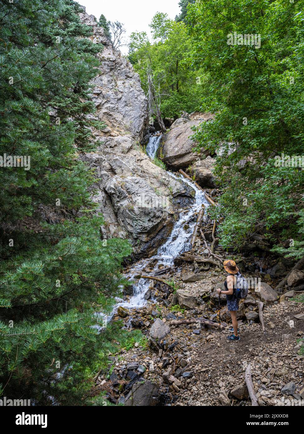 Eine Wandererin bewundert den wunderschönen Bach im Adams Canyon, Utah, USA Stockfoto