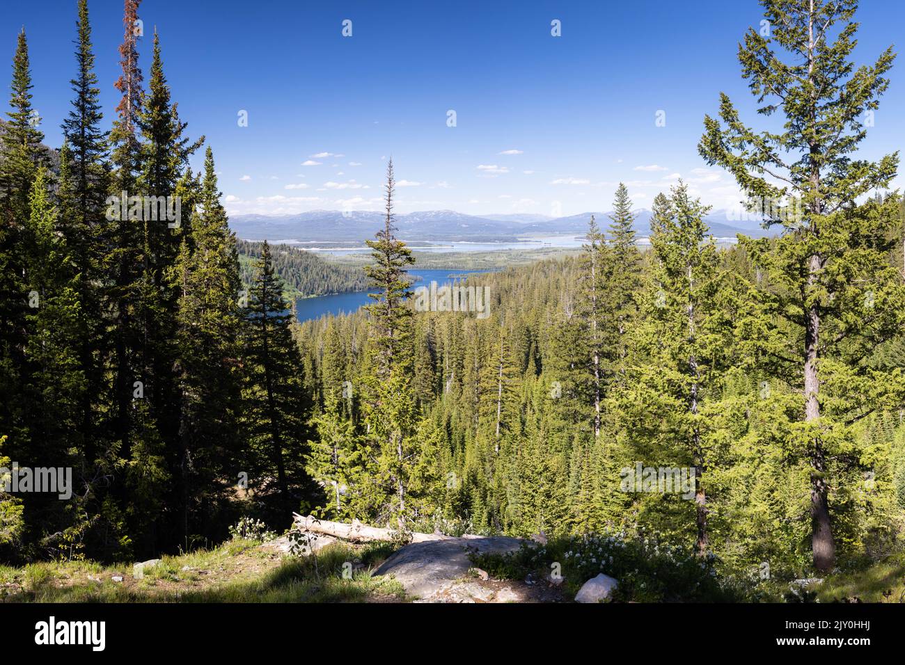 Die Leigh und Jackson Lakes erstrecken sich bis zum Horizont unterhalb der Mündung des Paintbrush Canyon in den Teton Mountains. Grand Teton National Park, Wyoming Stockfoto