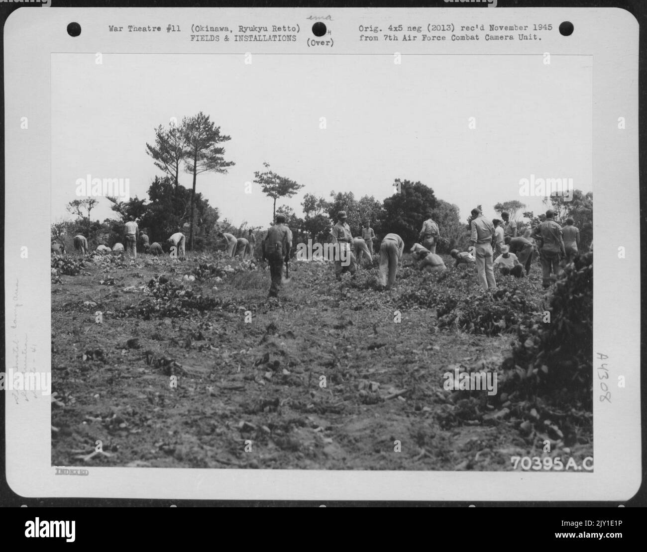 Bevor Ryukyu Retto, Männer der 41. Bombengruppe, ihre Zelte im temporären Lagerbereich in der Nähe des Kadena-Flugstreifens auf Okinawa aufstellten, fanden sie es notwendig, das Gebiet zu löschen. 7. Juni 1945. Stockfoto