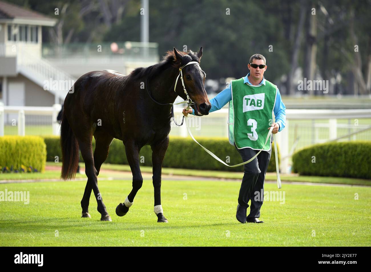Auf ihrem Wort, das nach dem Sieg im Rennen 1 auf dem Montageplatz zu sehen war, der Tab Rewards