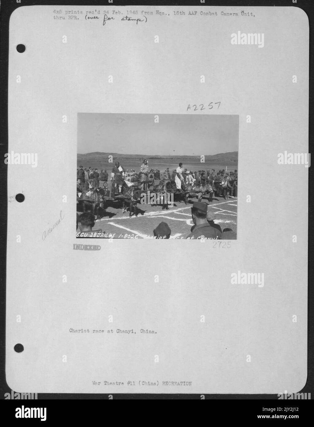 Chariot Race In Chanyi, China. Stockfoto