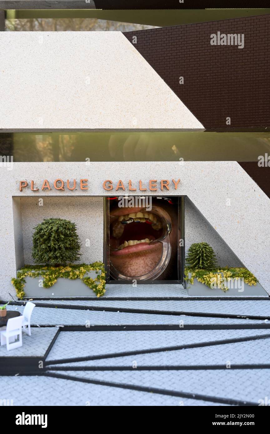Miniaturkunstwerke der Künstler Damien Hirst, Jeff Koons, Jasper Johns, David Choe und Anish Kapoor sind an den Zähnen eines Mitglieds der Plaque Gallery bei der ersten Ausstellung der kleinsten funktionalen Galerie außerhalb der National Gallery of Australia in Canberra am Freitag, 21. Juni 2019 zu sehen. Nach der Eröffnung in Australien wird die Plaque Gallery die Welt bereisen und am Sonntag nach New York, London, Paris, Berlin und Tokio reisen. (AAP-Bild/Lukas Coch) Stockfoto