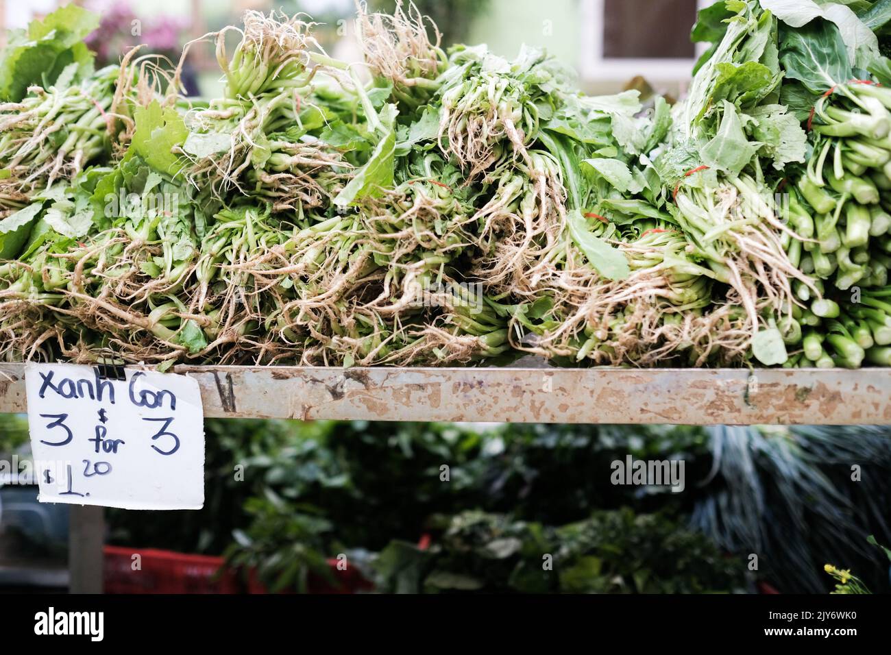 Grünes chinesisches Gemüse zum Verkauf in einem vietnamesischen Lebensmittelgeschäft in Cabramatta – Sydney, Australien Stockfoto